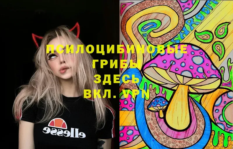 Галлюциногенные грибы Magic Shrooms  Красный Сулин 